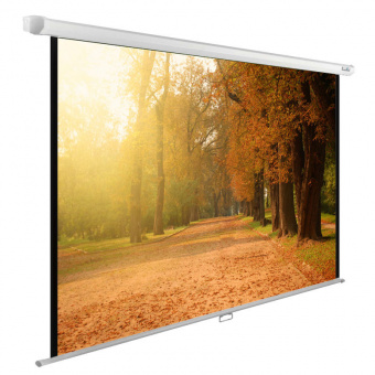 Экран CACTUS WallExpert CS-PSWE-200&amp;times;125-WT