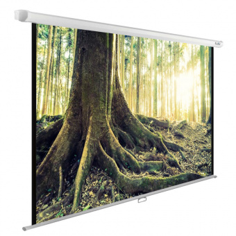 Экран CACTUS WallExpert CS-PSWE-220&amp;times;220-WT